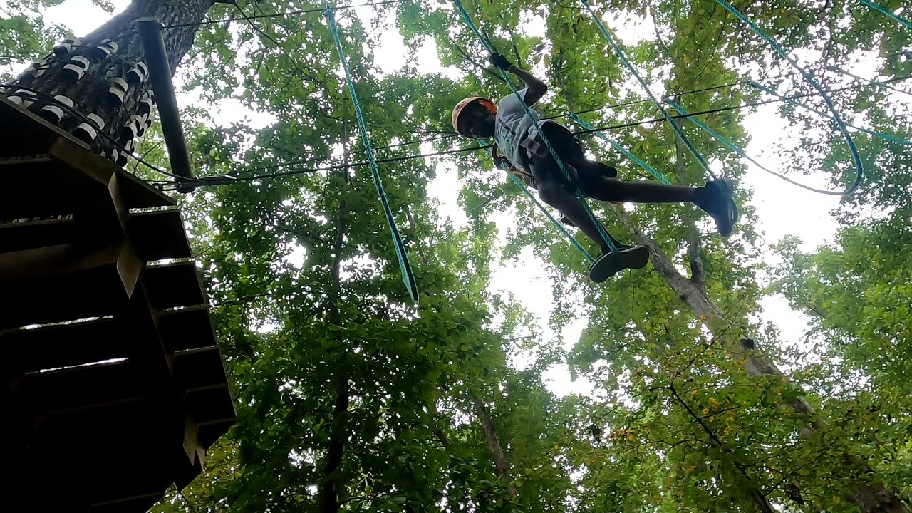 Treetop Quest - No Fear #austism #specialneeds #blackboy #achievements