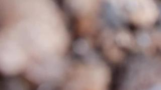 2_5242413738350356252