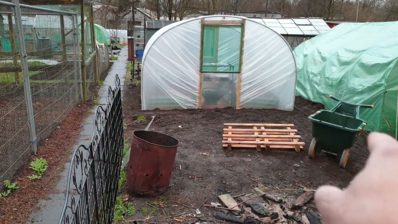 Allotment update so far