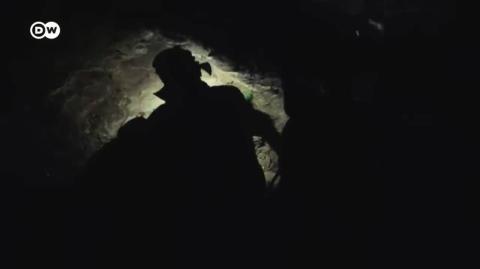 These South African Hoes Ain't Loyal Either