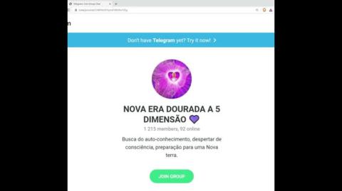 Modus operandi do estelionato do GESARA/NESARA no Telegram #3