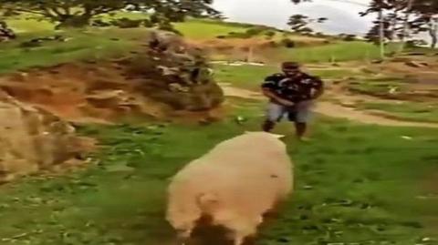 They call that foreplay in NZ & Wales