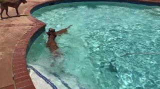 How to teach your god to swim