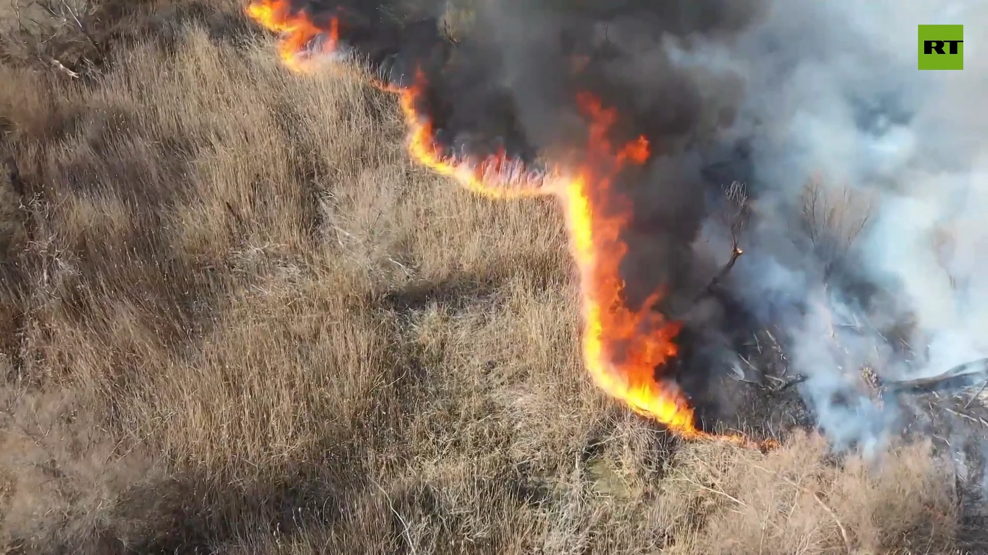 Russian firefighters save Astrakhan Nature Reserve forest