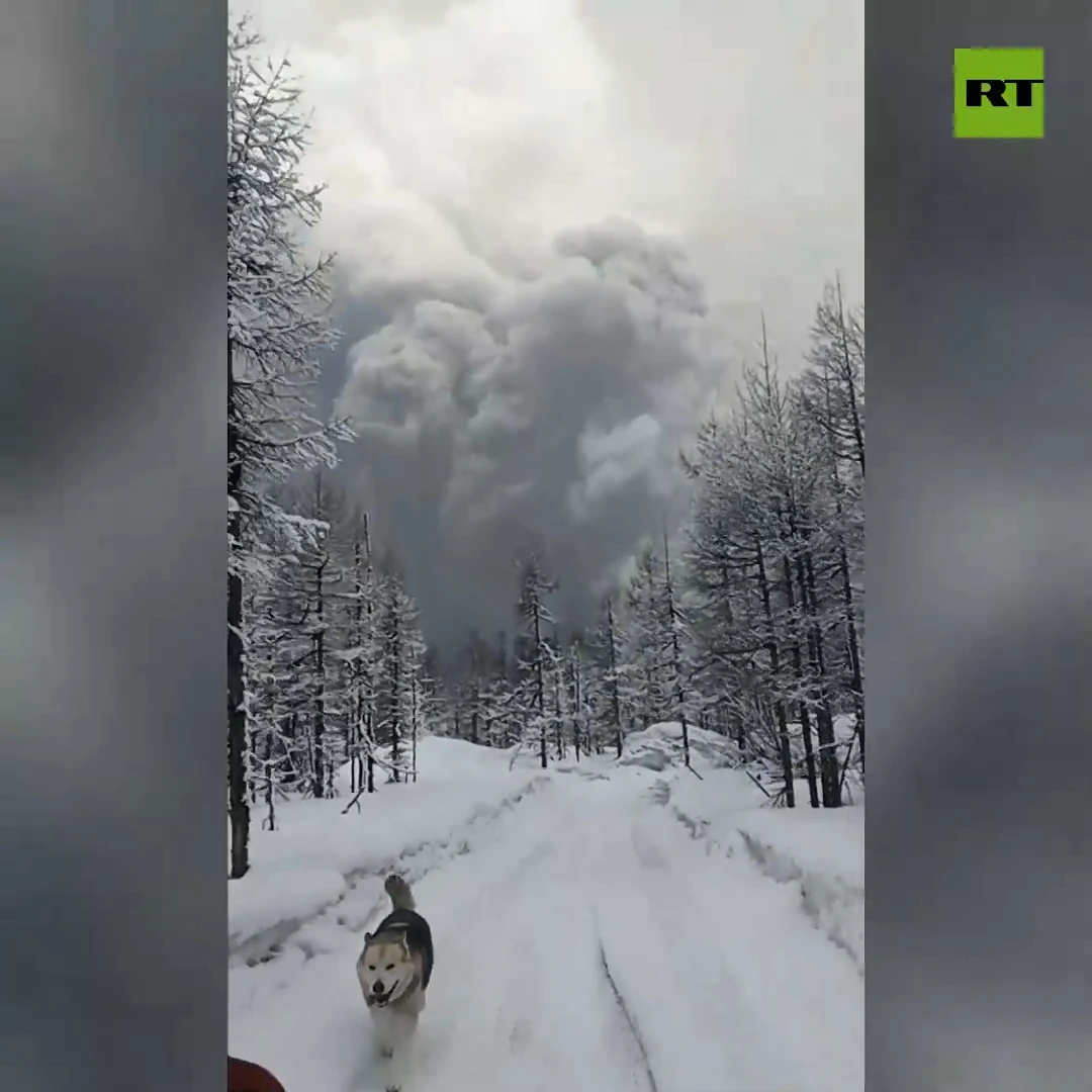 Good boi & owner flee Shiveluch eruption