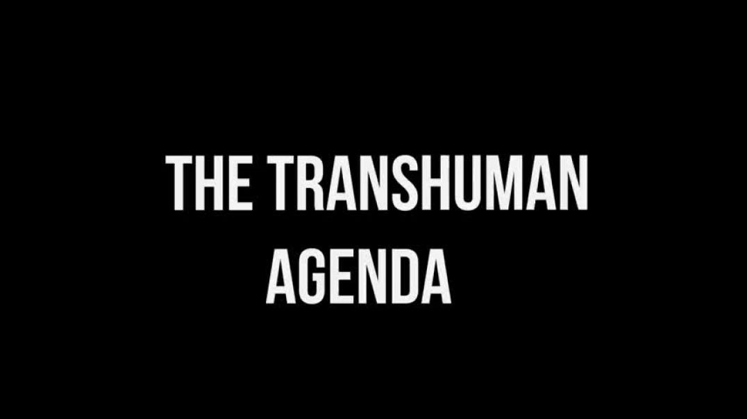 Jennifer Bilek | Who is Behind the TRANS AGENDA?