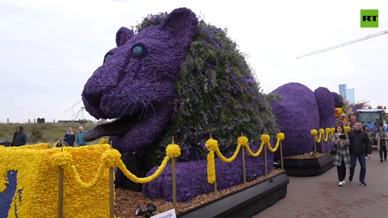 ‘Flower Parade of the Bollenstreek’ kicks off in the Netherlands