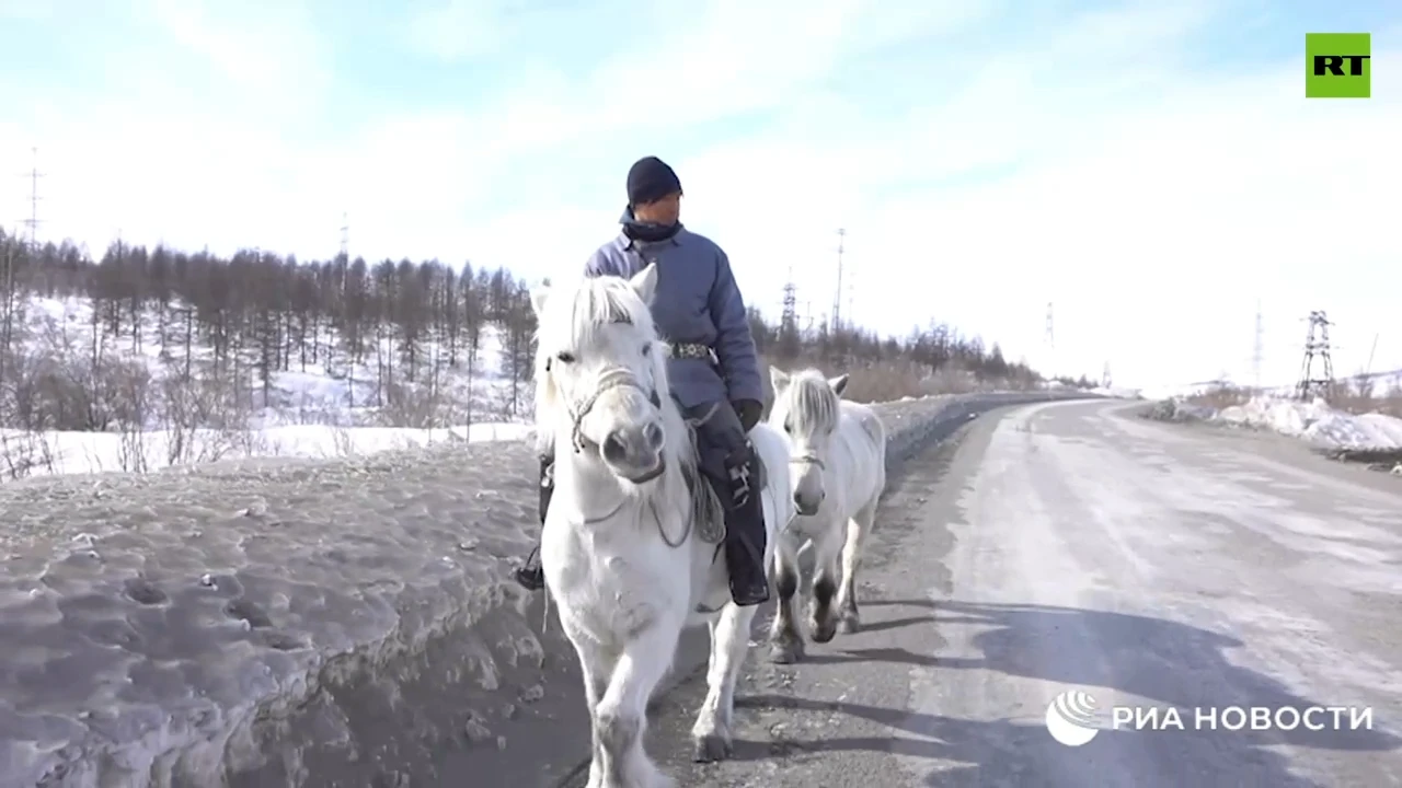 Extreme horse rider makes 800km North Russia trip at -50 degrees