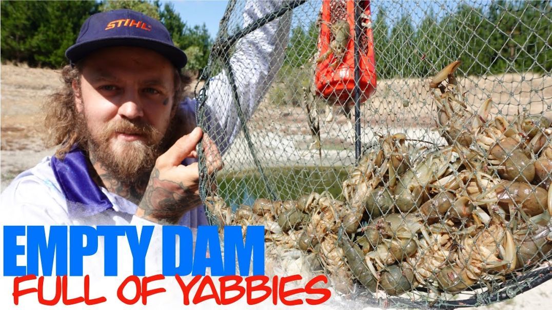 My BIGGEST Haul of Yabbies | EMPTY Dam Full of Yabbies