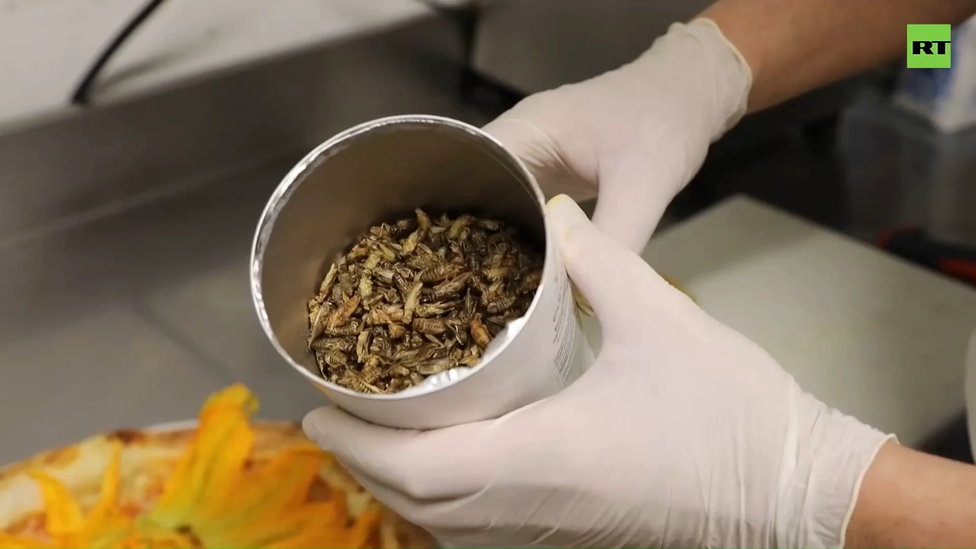 Traditional Italian dish gets CRICKETS as topping option