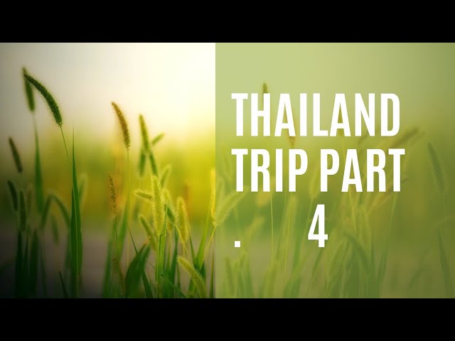 Thailand trip part 4