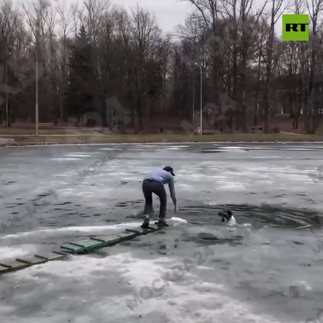 Locals save dog stuck in frozen Moscow lake