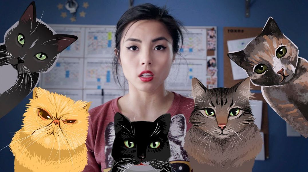 Am I a crazy cat lady? - Lauren Chen - A Feminist Cunt.