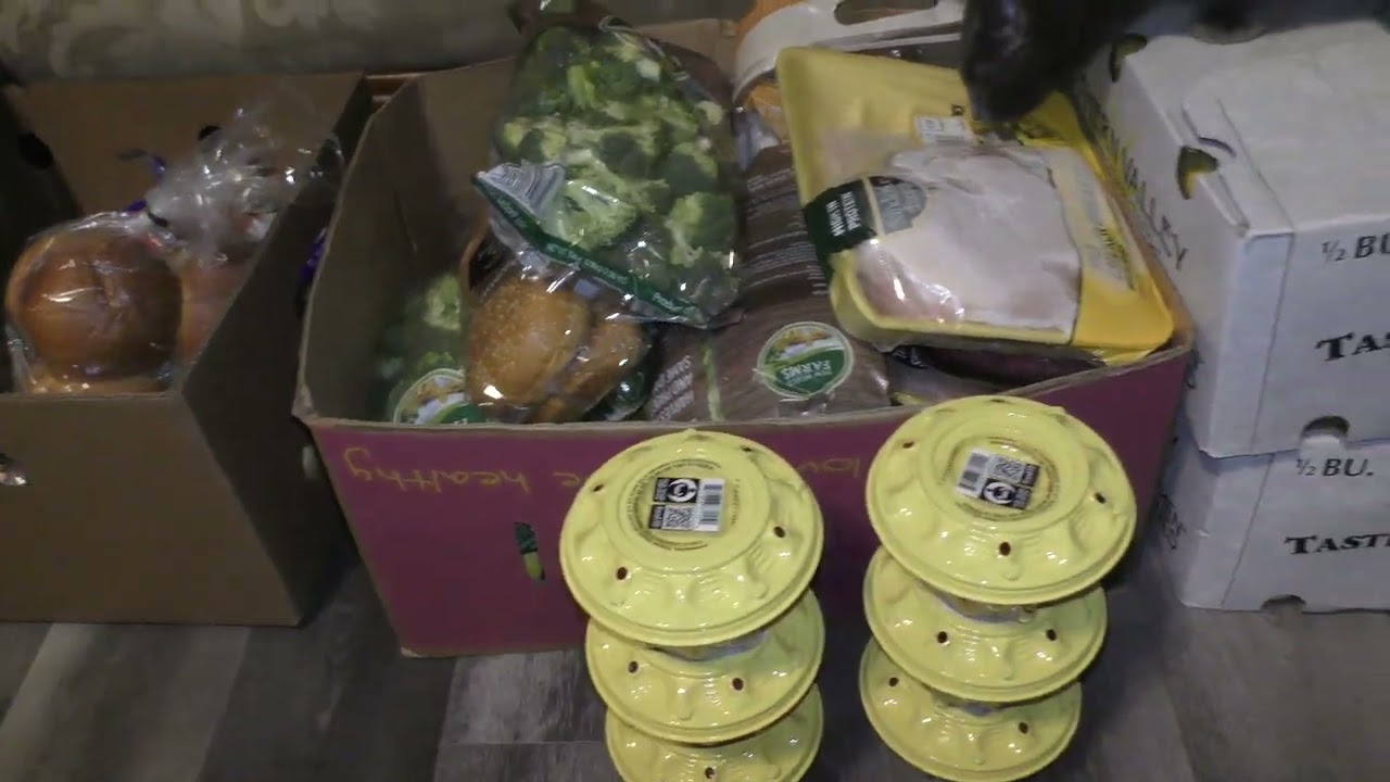 BIG FOOD PANTRY HAUL! Stock Up on Surplus Food!