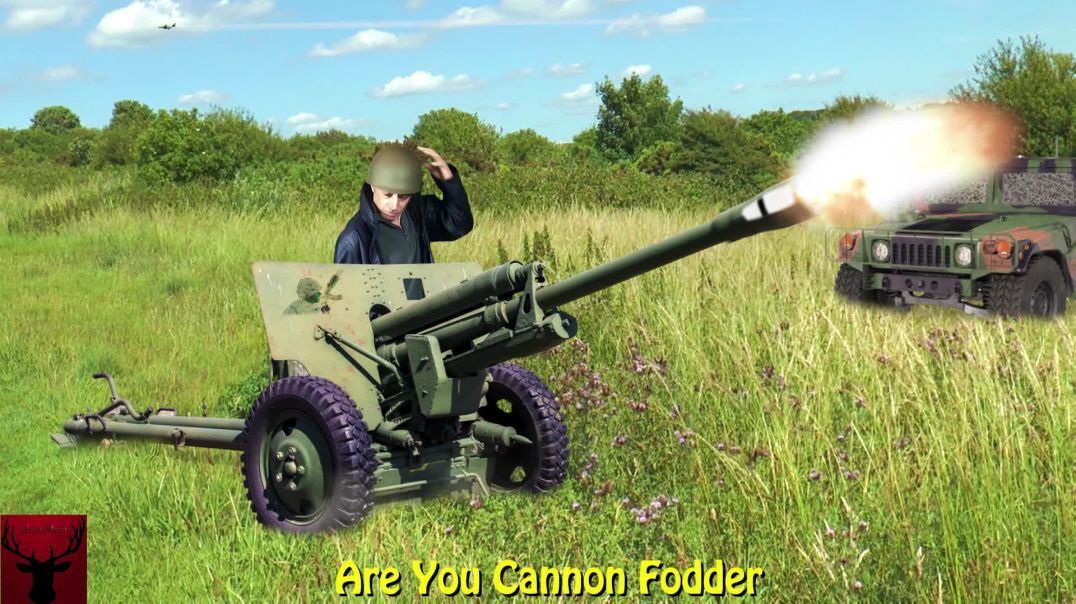 Are You Cannon Fodder