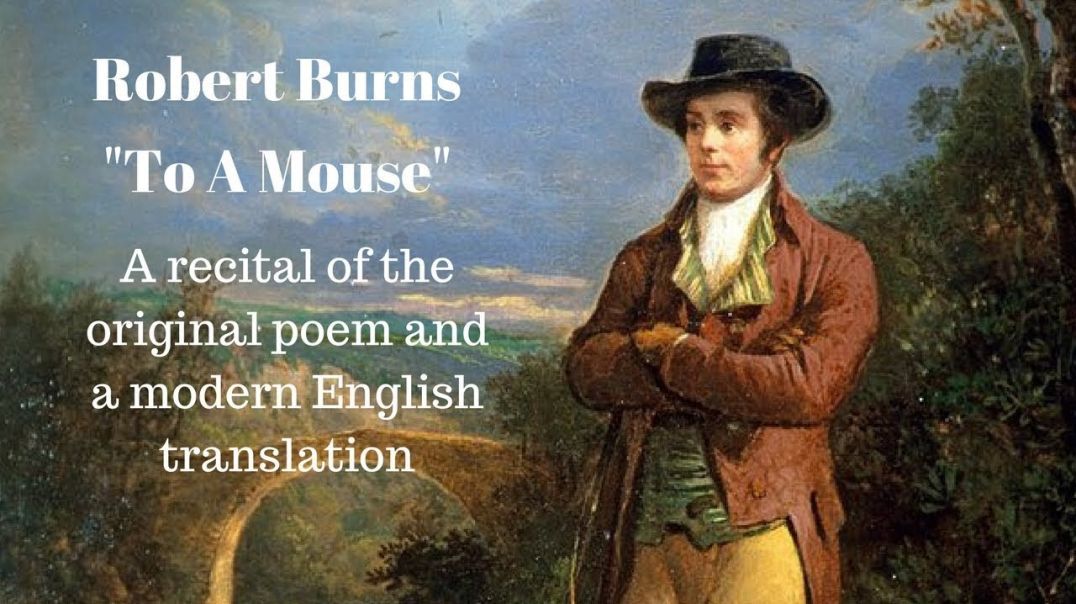 Robert Burns Poem: To A Mouse + Modern English Translation