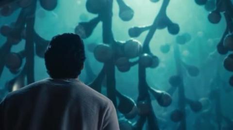 Reverse artificial womb Propaganda