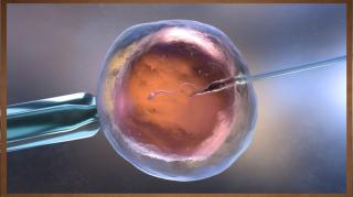 LHLP 128 - 04 El Cierre de la Fertilizacion In Vitro