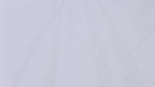 my Ford F150 Truck Hood Vandalized again may 17th 2023 whitefish montana druggy locals suck!