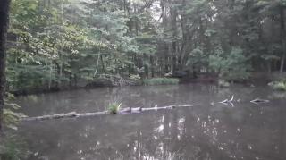 Fading Into Oblivion Part 11 - Mgtow