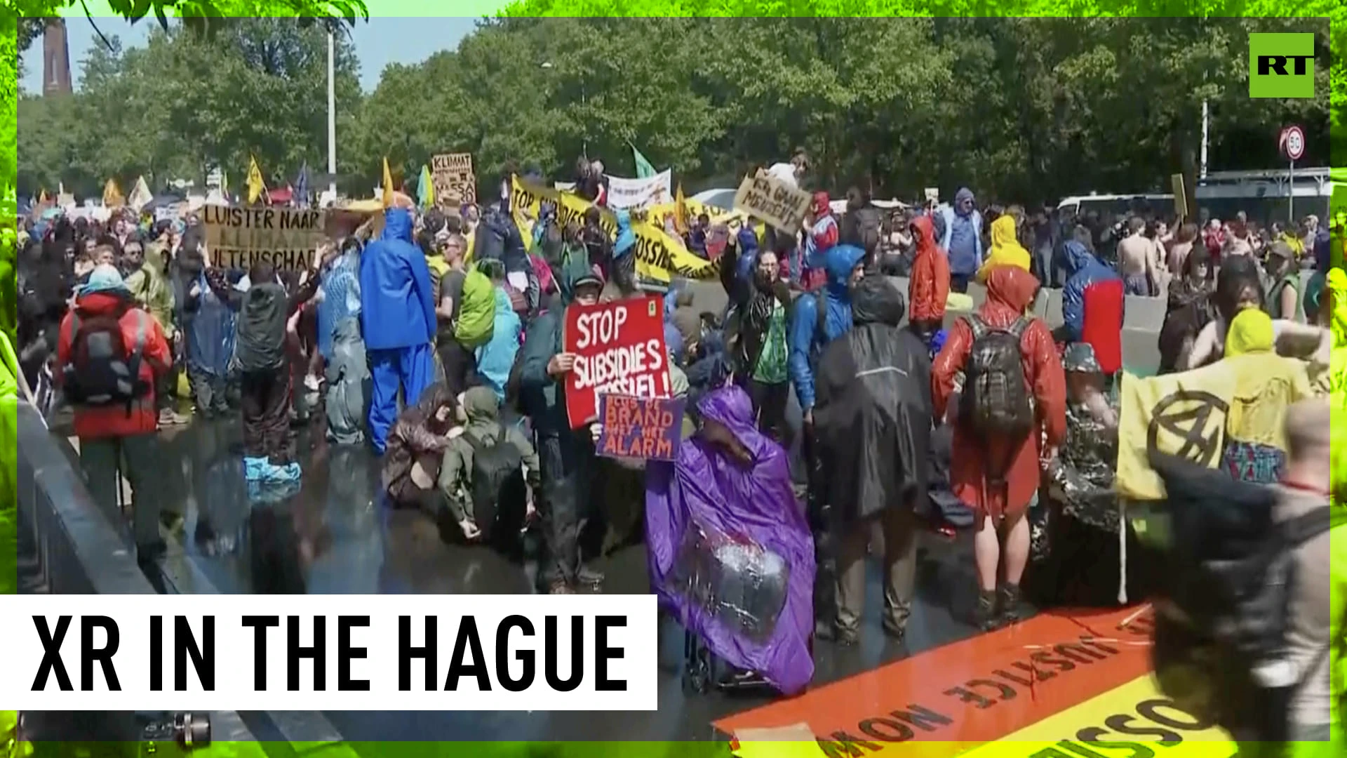 Extinction Rebellion rally blocks highway in The Hague