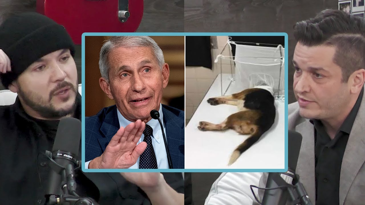 Fauci's International Dog Torture Ring