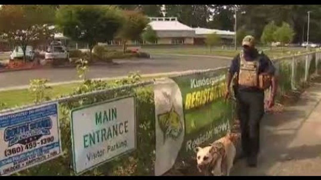 Armed veteran patrols outside schools