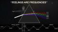 "It All Begins with The "RIGHT" Feeling"