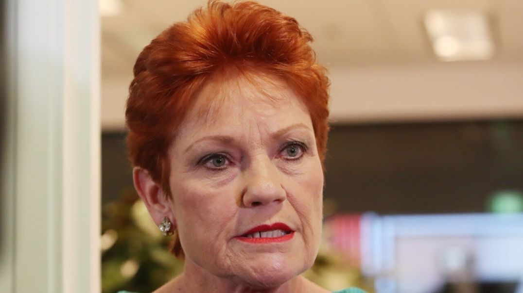 Pauline Hanson violated the ‘hurt feelings act’ according to Mehreen Faruqi