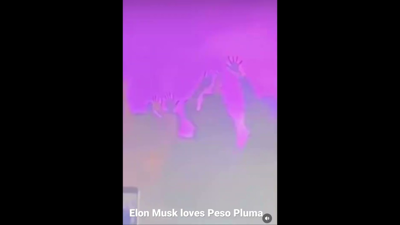 Elon Musk loves Peso Pluma. Elon baila sola jaja #elonmusk #pesopluma #corridos