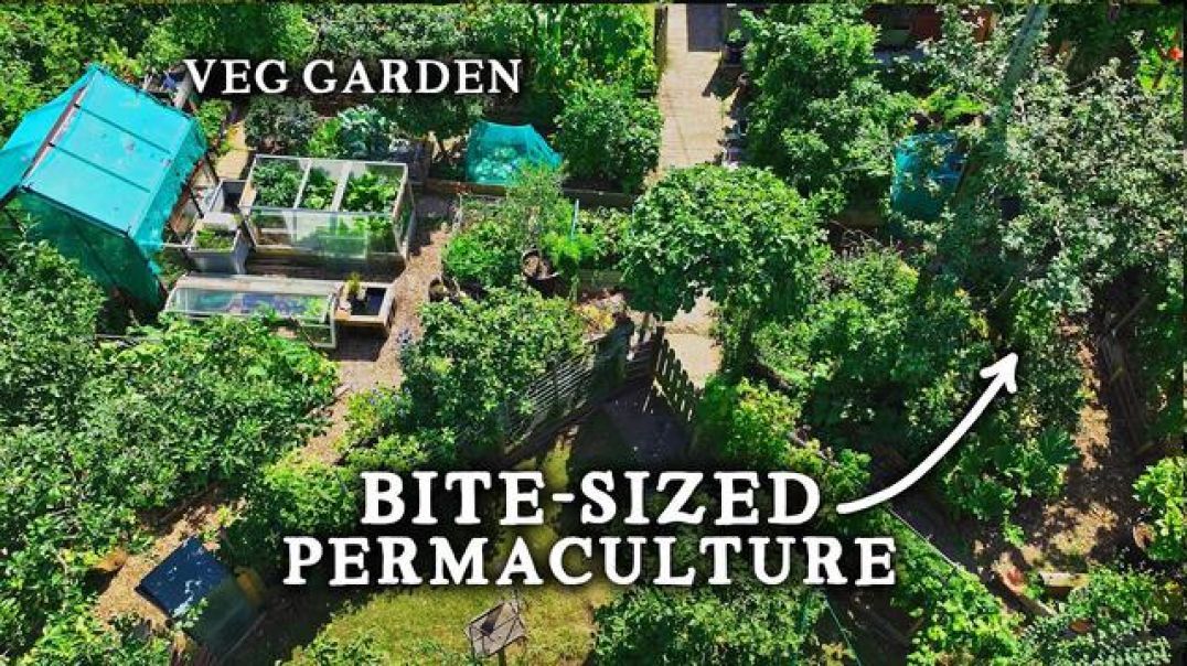 STUNNING TINY PERMACULTURE BACKYARD KITCHEN GARDEN [22-11-19] - WADE MUGGLETON (VIDEO)