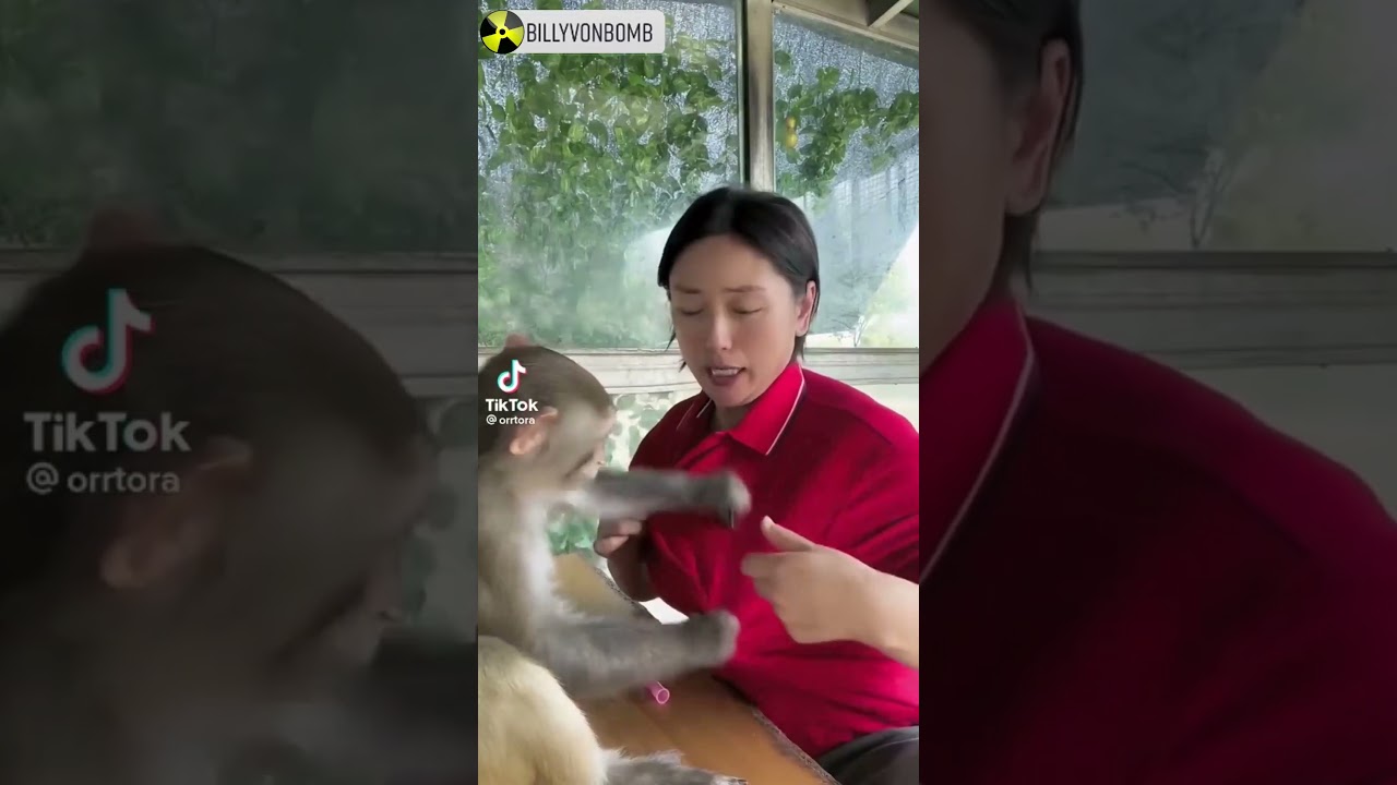 China's Monkey Moms