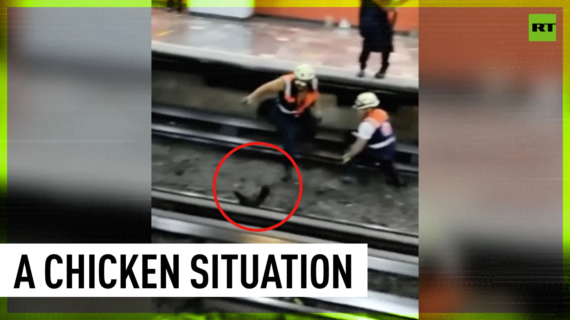 Chicken terrorizes Mexico subway