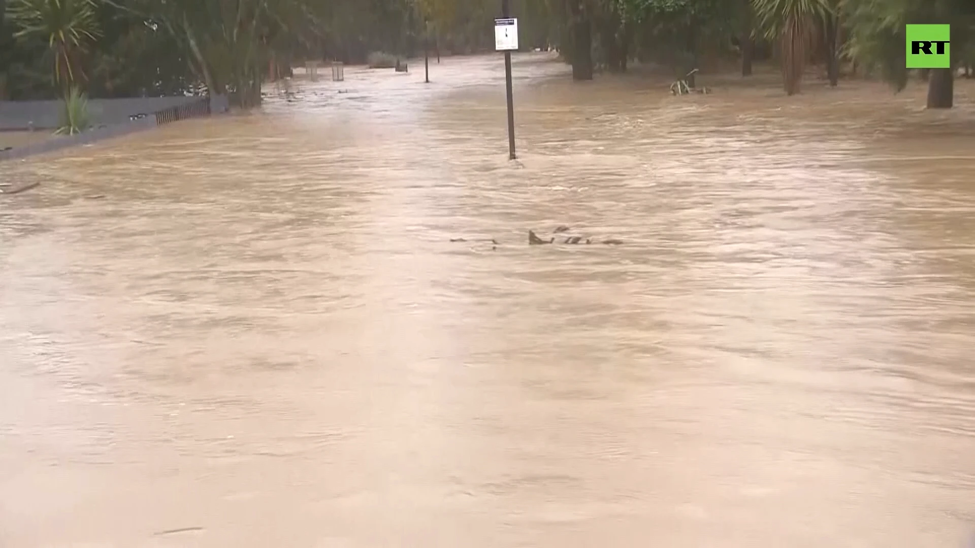 Emergency declared in Auckland as heavy floods hit New Zealand