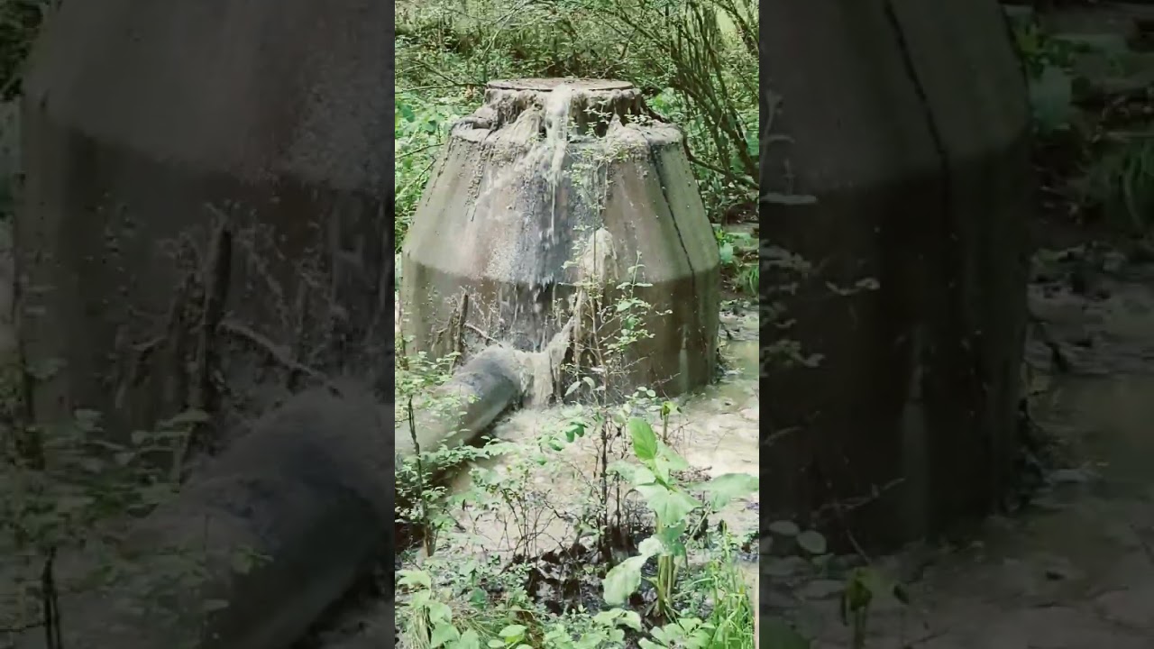 BROKEN OVERFLOWING RAW SEWAGE IN GEORGIA WOODS! Emergency Investigators Did Respond!