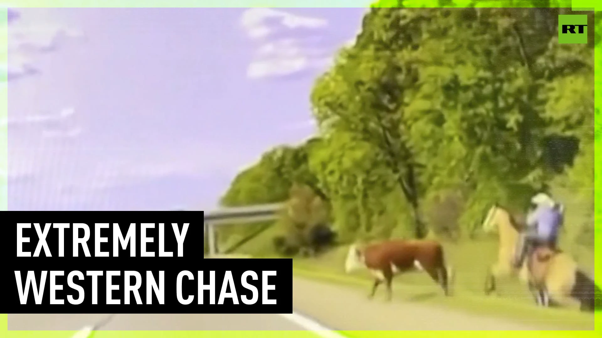 Wild Wild Michigan | Cowboy lassoes runaway steer right in the middle of Detroit-area highway