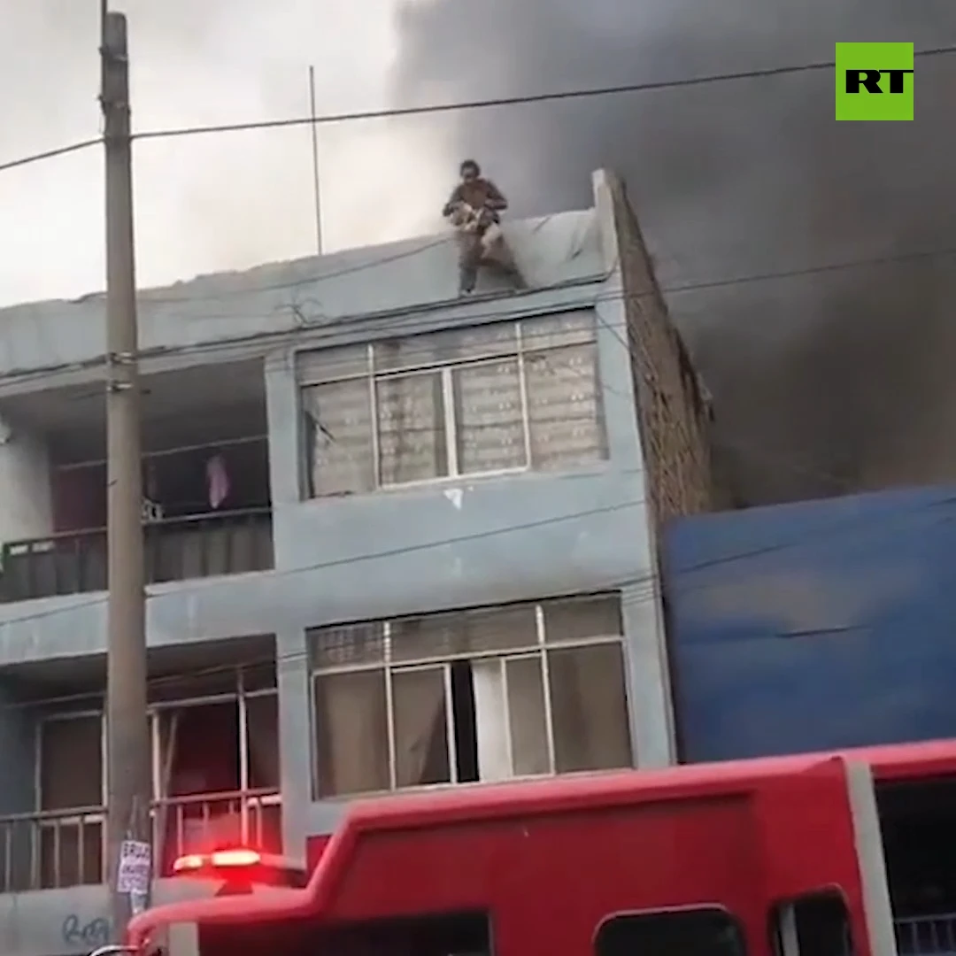 Homeless man saves 25 dogs trapped in burning building