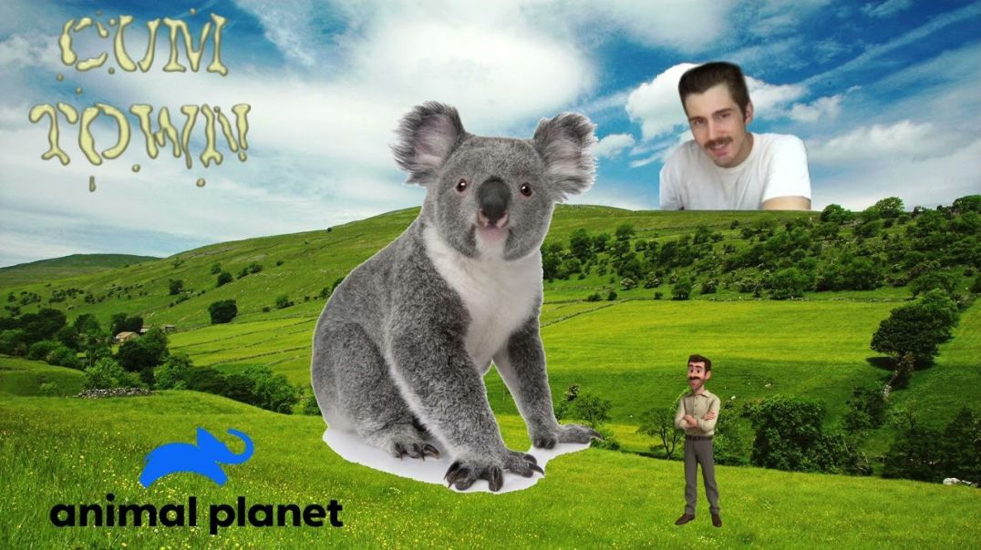 Cumtown - Animal Planet