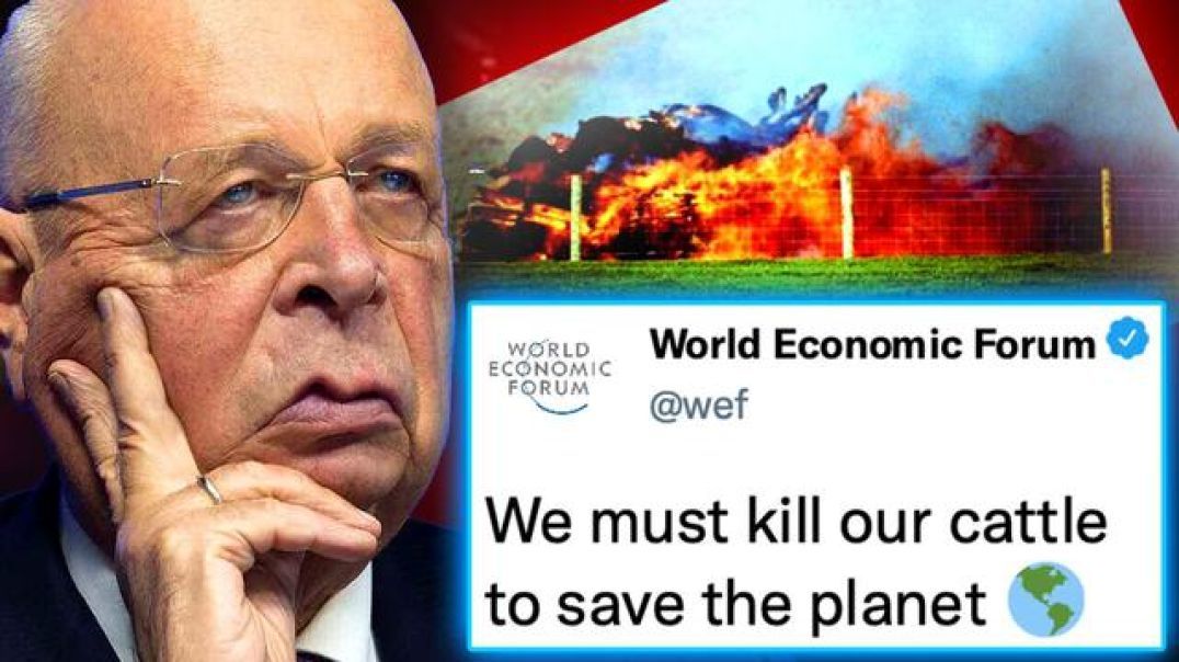 The People's Voice: WEF Orders US Gov’t To Forcibly Seize Farms by 2025 and Burn Millions of Cattle