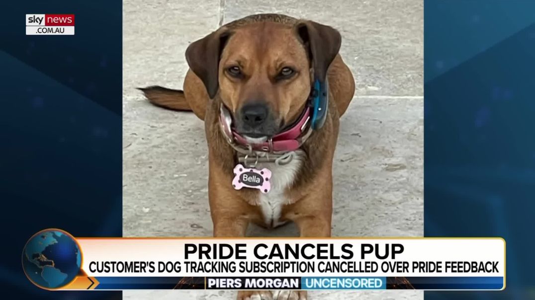 First dog in history to be ‘cancelled’- Rescue pup faces Pride Month