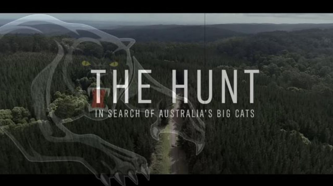 "The Hunt" In Search for Australia's Big Cat's (Directors Cut)