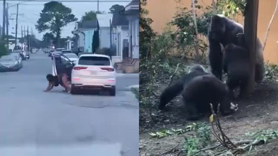 Na rua mesmo. Igualzinho