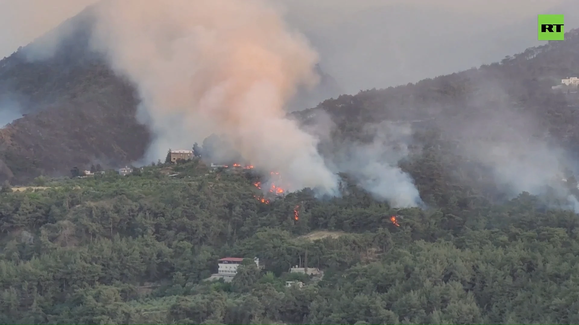 Blaze engulfs forest in Türkiye’s Hatay Province