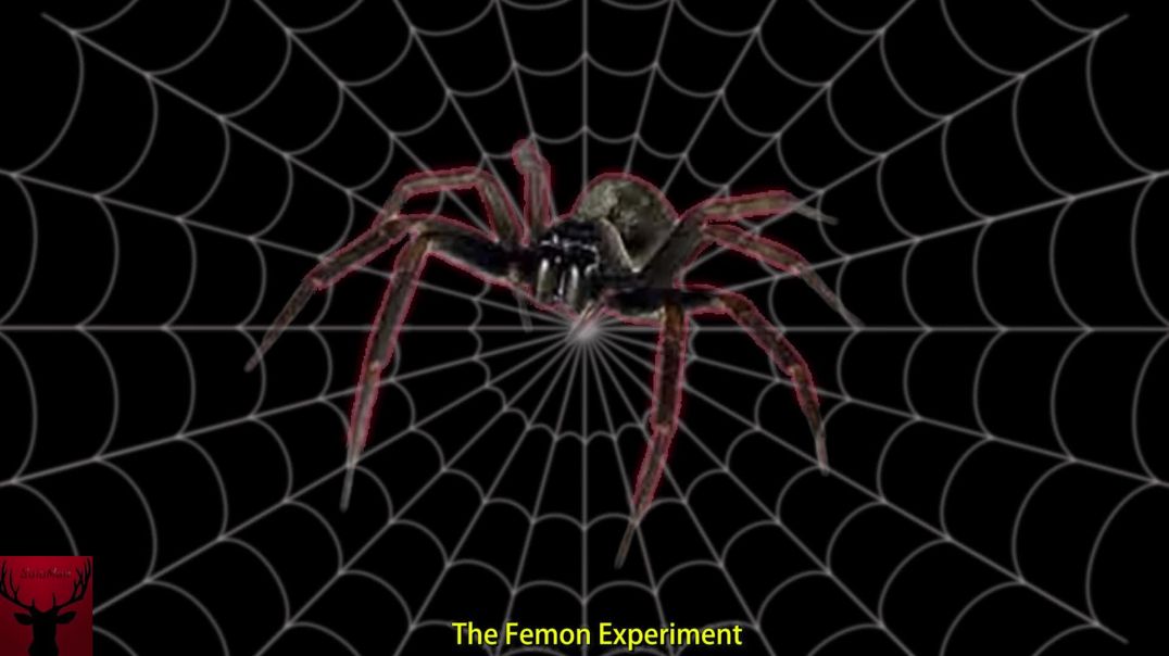 The Femon Experiment