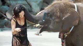 A Man Rescues Drowning Baby Elephant