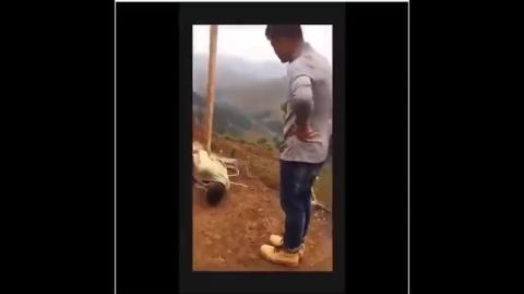 Parceria chinesa na África. Em breve na Bahia.