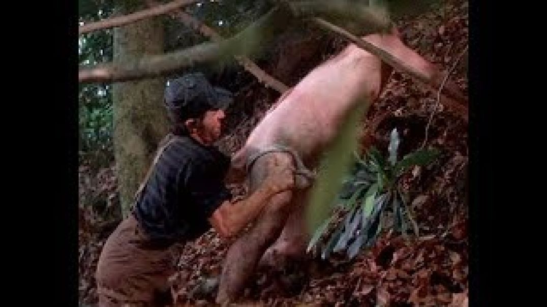 The famous squeal like a pig scene from "Deliverance" - see pinned comment.