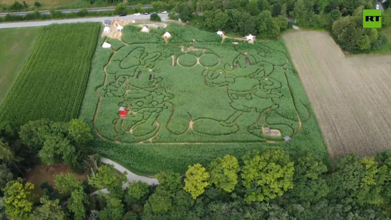 Farmers in Germany mark Disney’s 100th anniversary with a curious corn maze