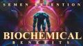 Semen Retention | The Biochemical Benefits