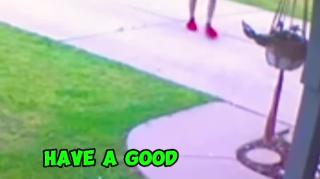 Sound Advice From The Law...